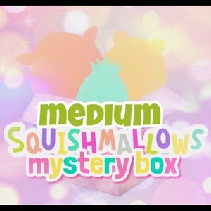 Squishmallow mystery box